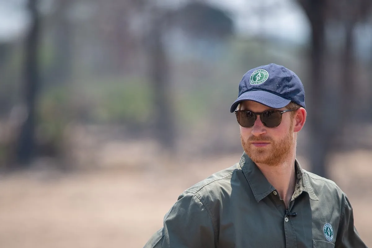 Harry steps down from controversial African wildlife charity