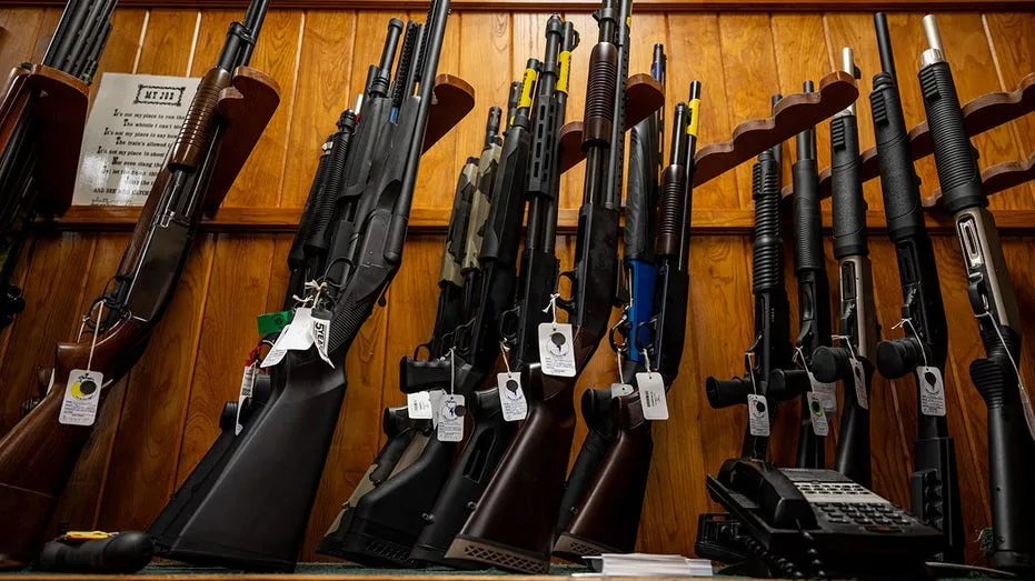 Gun rights groups capitalize after judge reverses decades-old restrictions: 'Monumental'