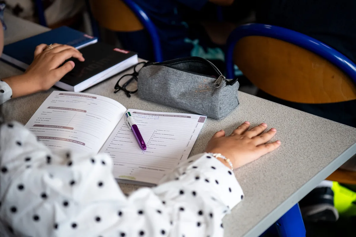 "Selon moi, les enfants cliquent au hasard" : la thèse d'un économiste suédois sur la chute des résultats Pisa