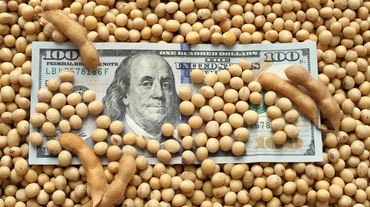 Impulsada por la suba del dólar, la soja ganó $5000 por tonelada en Rosario
