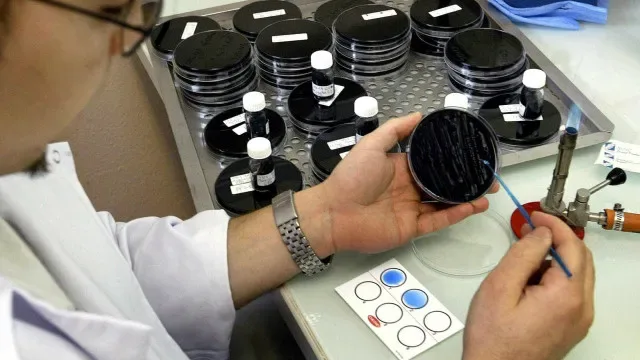 Legionella: Após contra-análise balneário de escola em Valongo pode abrir