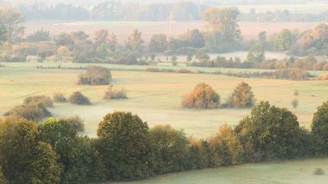 Wetter: Nebel, Frost und 19 Grad: So wird das Wetter im Norden