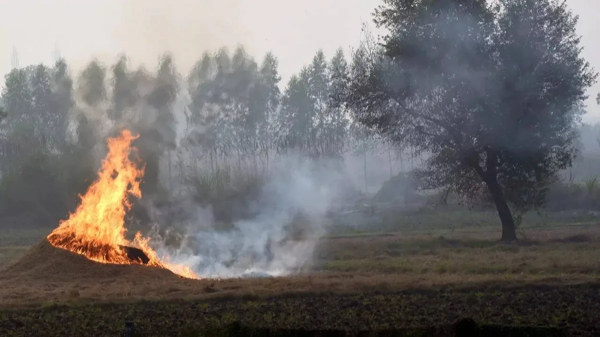 Centre asks states to go into ‘mission mode’ to curb stubble burning