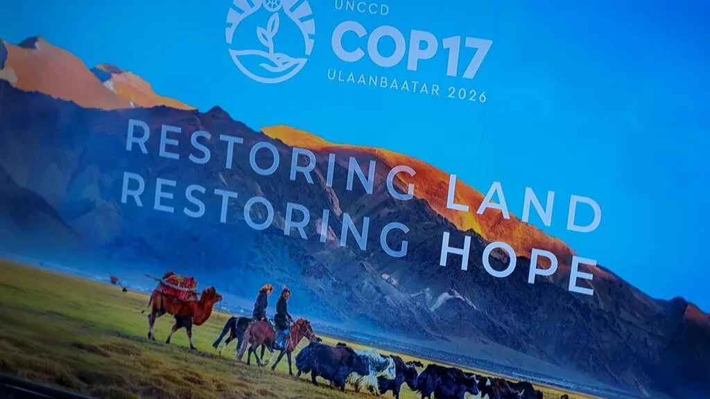 COP da Desertificação na Mongólia: seca pode atingir 75% da população mundial e desafia também o Brasil