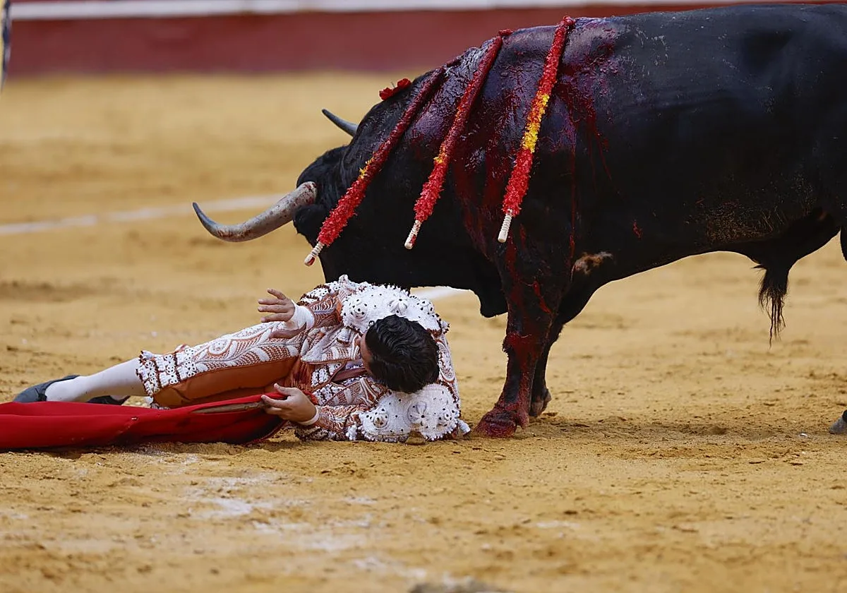 Morante se olvida del cuerpo, los toros de la bravura y el palco del rigor