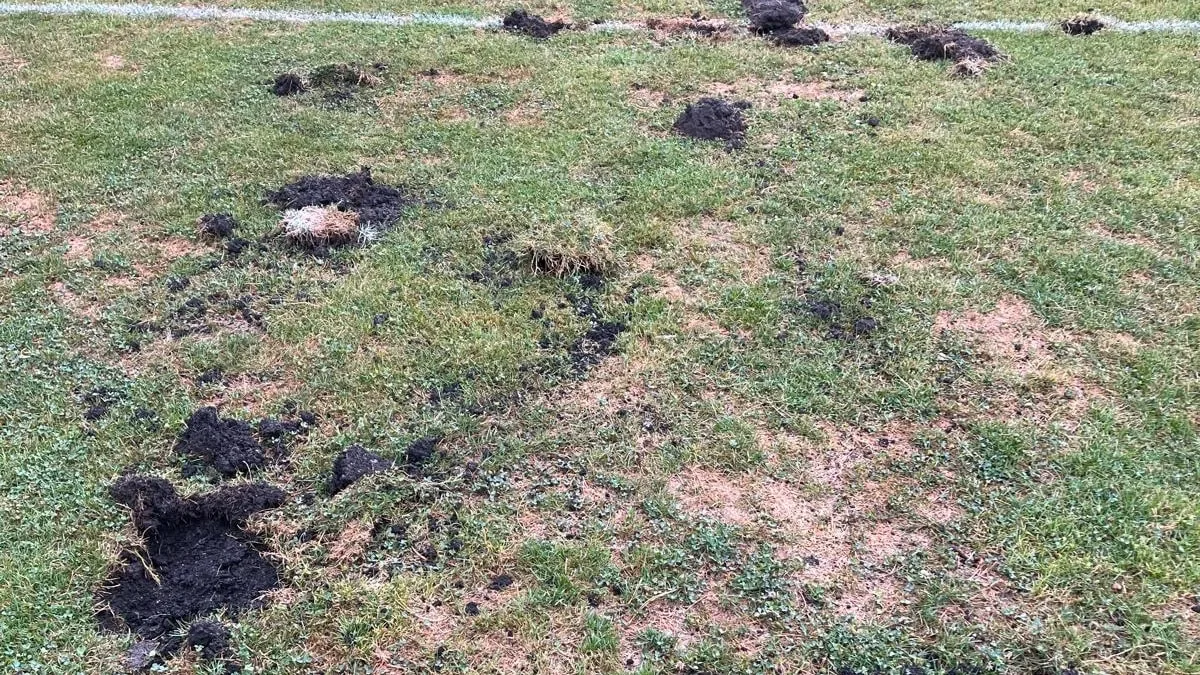 Polizei ermittelt nach Vandalismus - Sportplatz von Kreisligist über Nacht zerstört