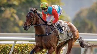 ¿Será la victoria 22 consecutiva? Ka Ying Rising listo para The Everest