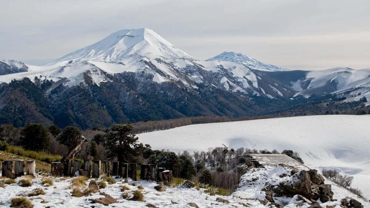 Chile busca voluntarios para vivir en la Patagonia: ofrecen alojamiento gratis, tres comidas diarias y 30 horas de trabajo semanal
