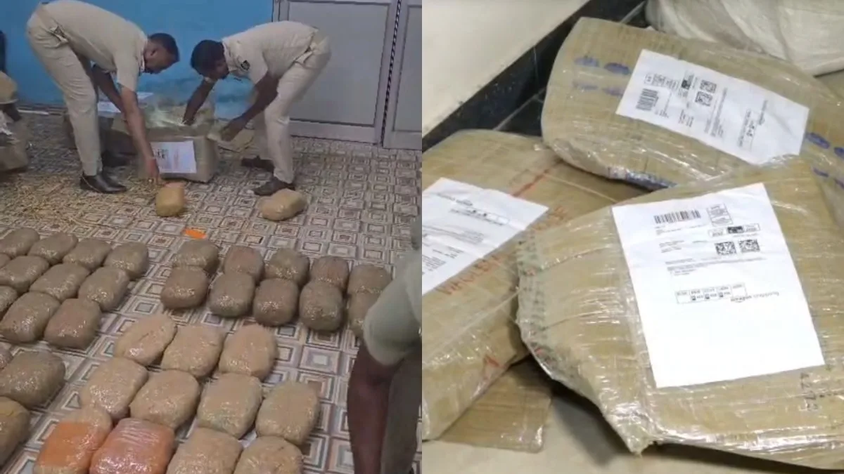 They sold Sambalpuri saree online. Then Odisha police found Ganja inside its folds