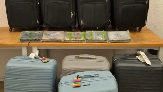 Apreendidas oito malas com 260 kg de cocaína no aeroporto de Lisboa