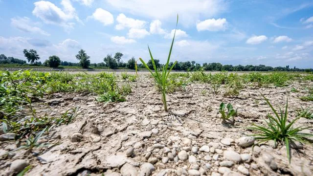 Klimaschutz: Umweltverbände kritisieren Klimapolitik der Bundesregierung