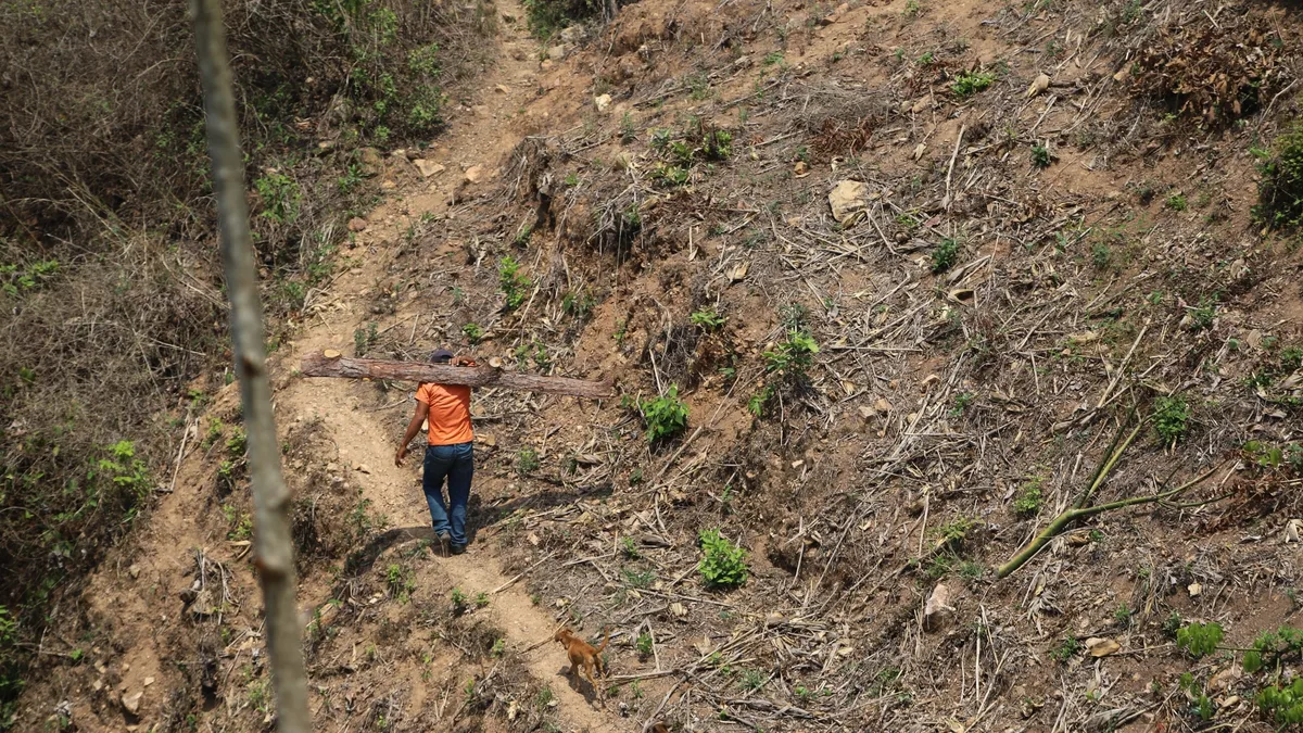 Respuesta anticipada ante la sequía: activan fondos de emergencia frente a la sequía para proteger a 22.000 personas en Centroamérica