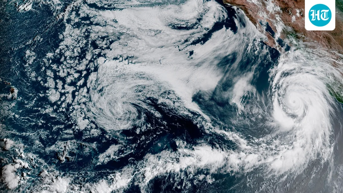 California El Nino latest forecast: When will it hit and how to prepare