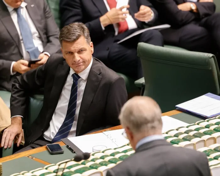 Taylor demands Albanese repeal ‘cruel tax’ in return for NDIS bill support