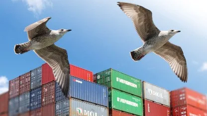 Golem-Community: Wir bringen dich zu den Container Days