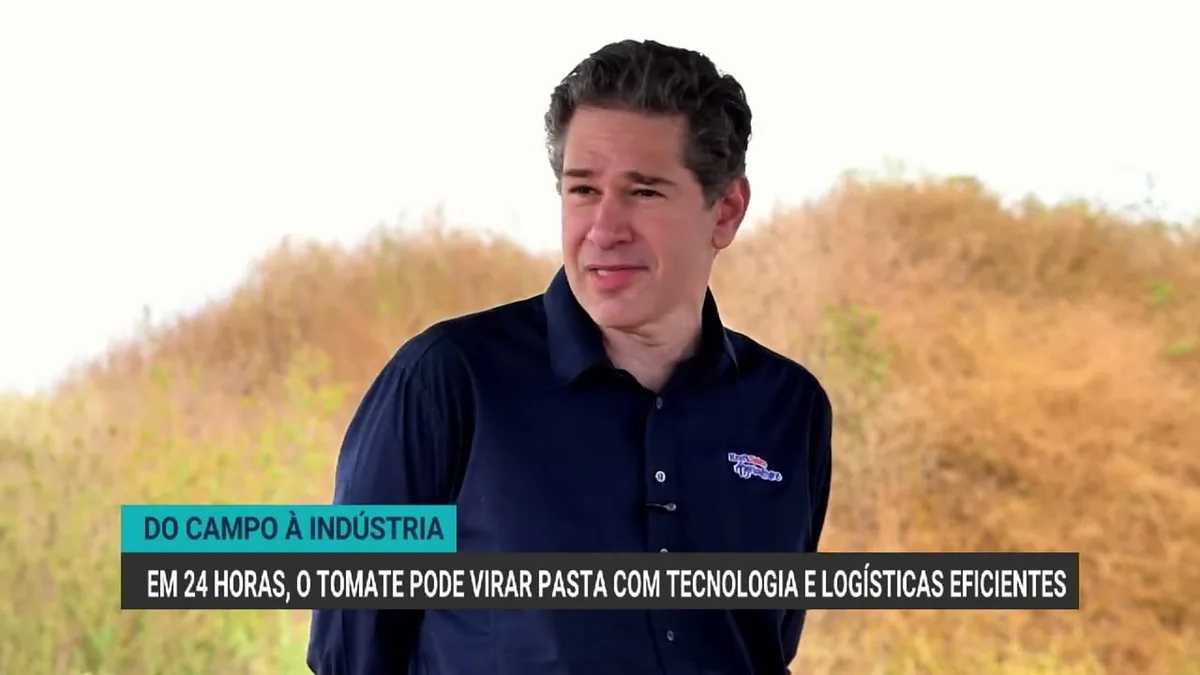 Transformação do tomate: do campo à indústria em 24 horas