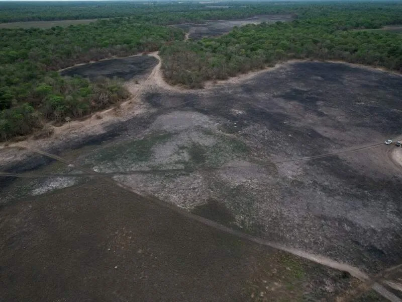 Incêndios que consumiram cerca de 1 mil hectares em Aquidauana são investigados