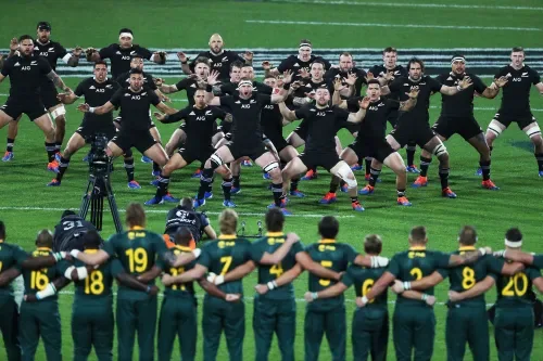 SA Rugby takes legal action against unofficial agencies over fake All Blacks Test tickets