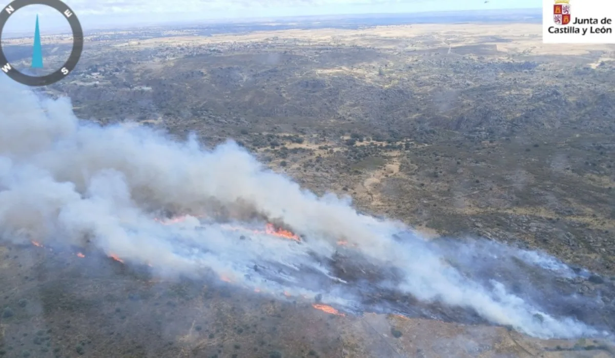 Confinan Ricobayo y cortan dos carreteras por el fuego de Villalcampo (Zamora)