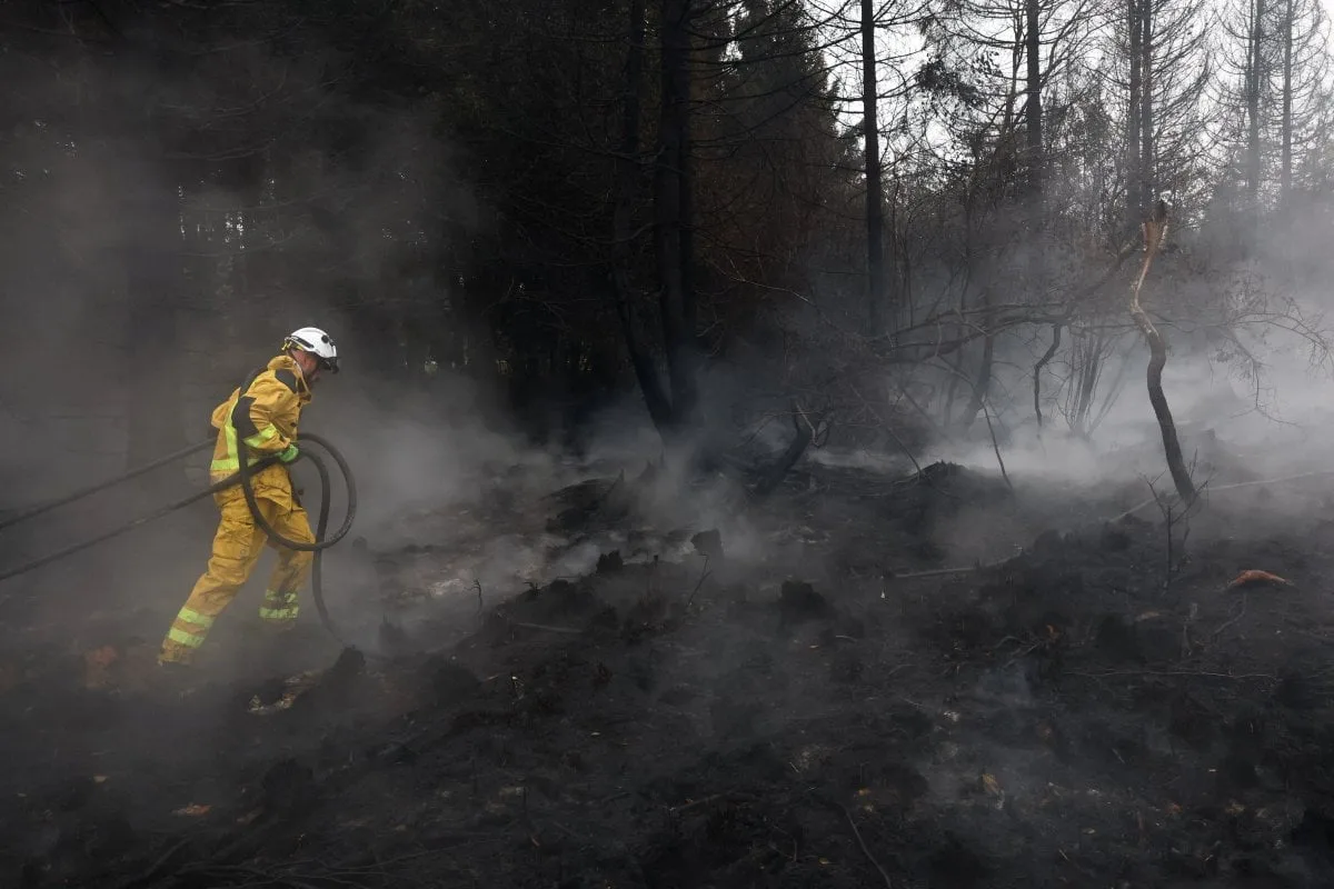 Chuvas ajudam em combate ao maior incêndio da Bélgica em meio a chamas que assolam a Europa