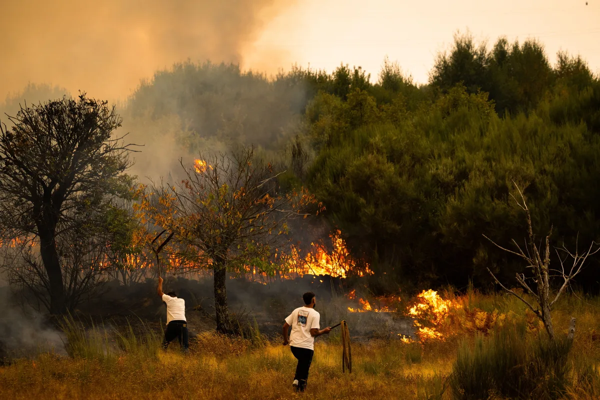 Incêndios rurais mobilizam centenas de operacionais em quatro concelhos