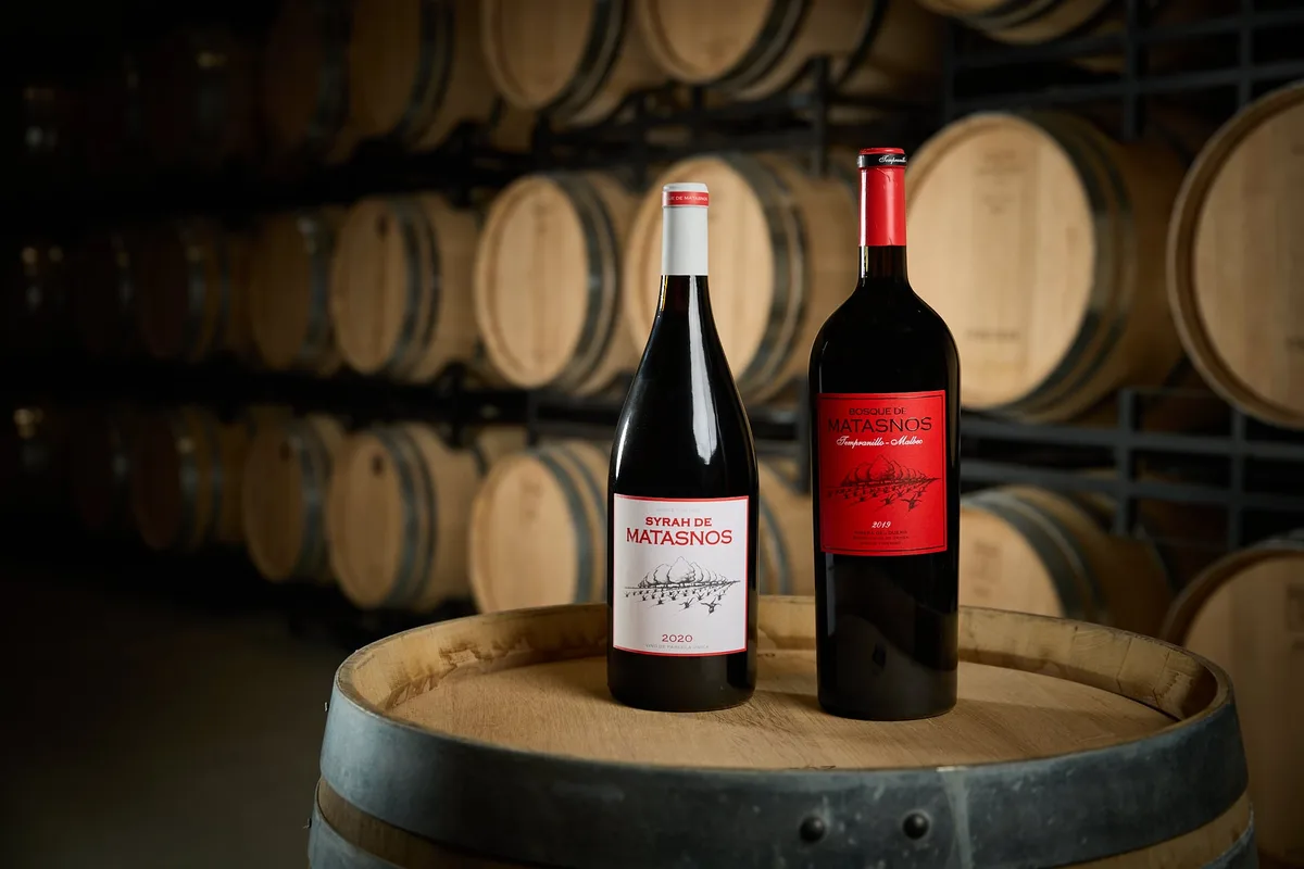 Bosque de Matasnos, vino de Ribera sostenible que se cría abrazado a los árboles
