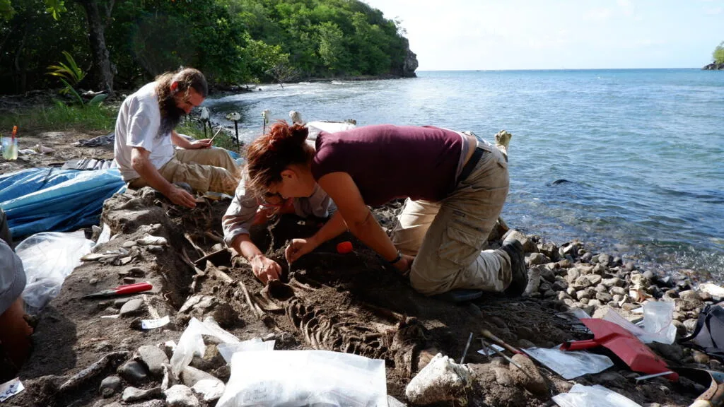 En Martinique et en Guadeloupe, la mer met au jour les cimetières d’esclaves et menace ce patrimoine
