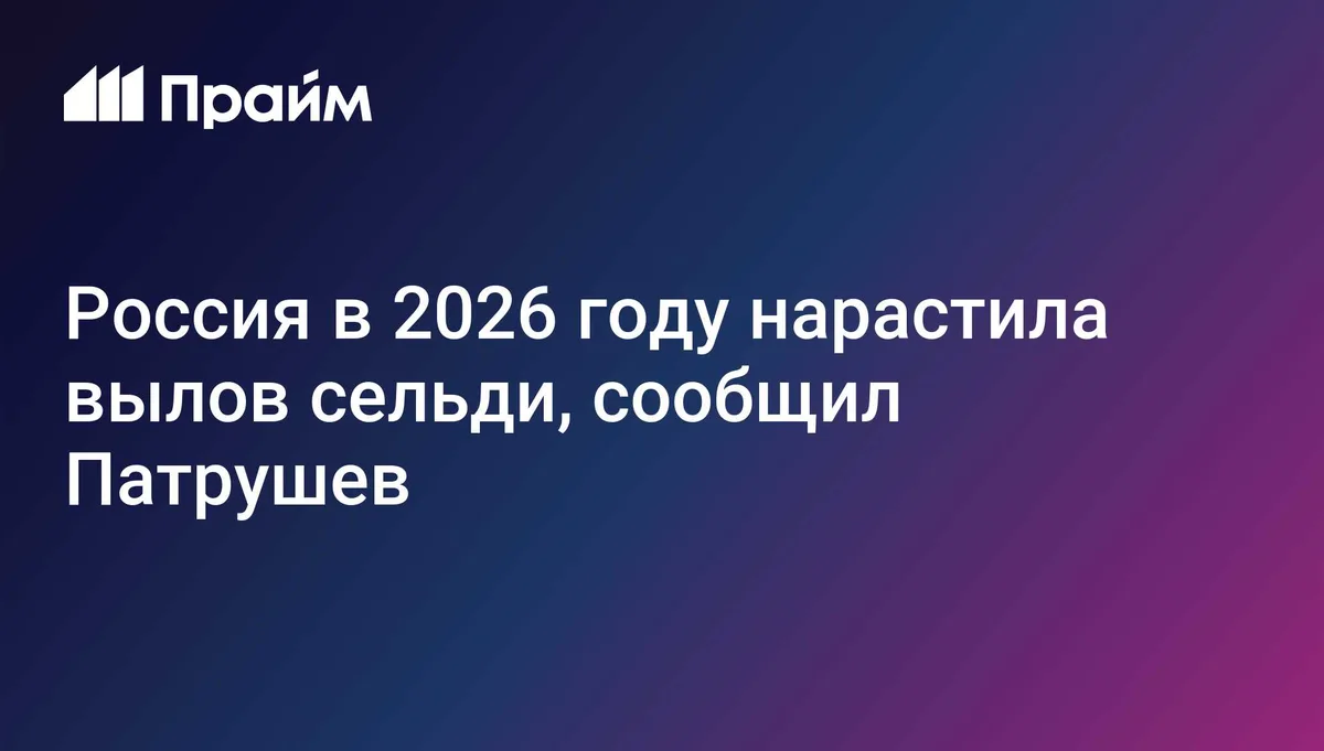 Россия в 2026 году нарастила вылов сельди, сообщил Патрушев