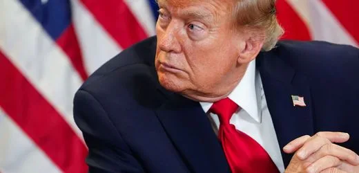 Grönland: Donald Trump kündigt baldige Erschließung von Rohstoffen an