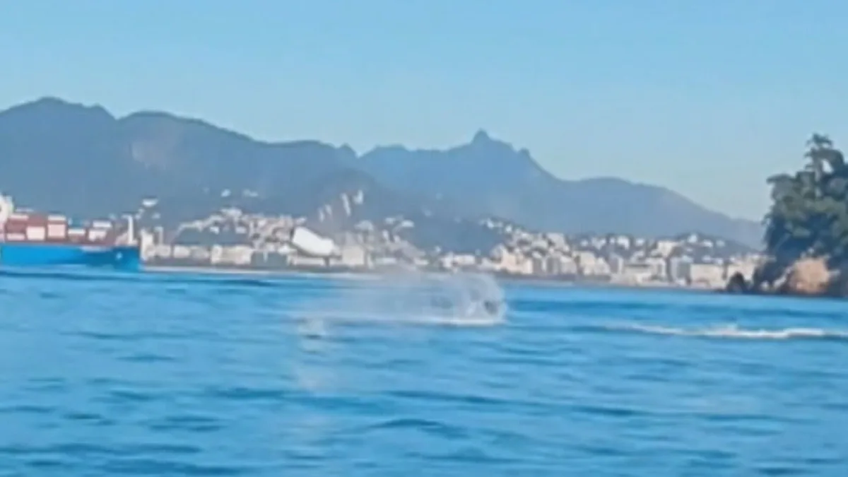 VÍDEO: arraia dá saltos ao lado de banhistas no mar da Praia de Boa Viagem, em Niterói