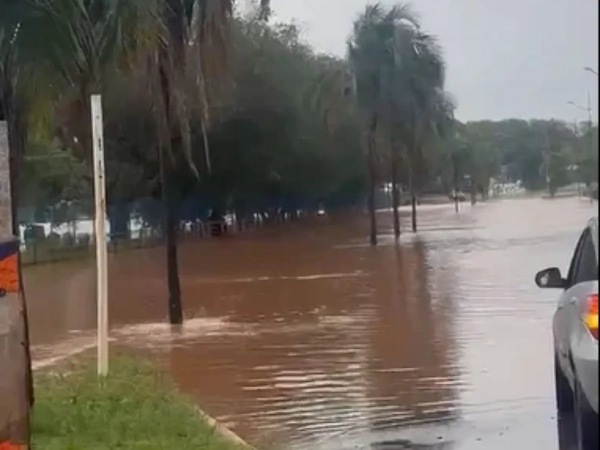 Chuva transborda Lago do Amor, deixa carros ilhados e alaga ruas em Campo Grande; veja vídeos