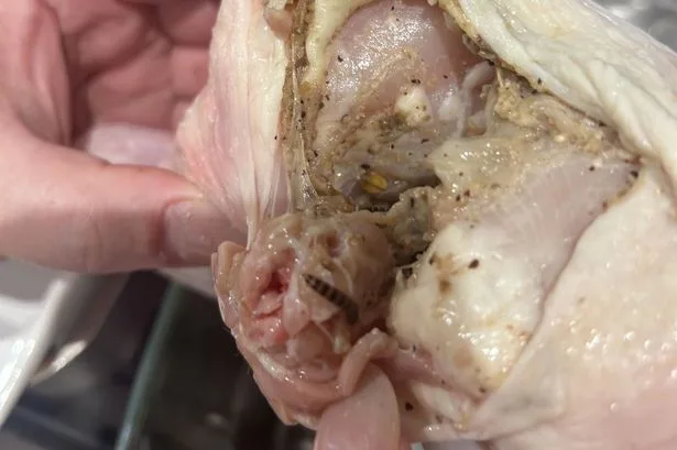 Horrified woman finds worms in Tesco chicken