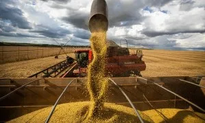 Senado aprova novo marco do seguro rural; texto aguarda sanção presidencial