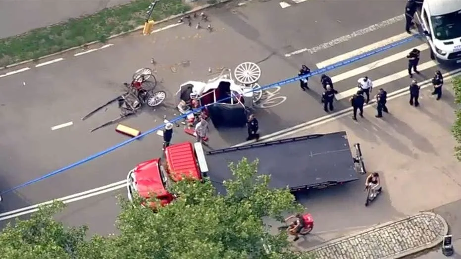 Family seeks $105 million from New York City after teen’s fatal Central Park carriage ride