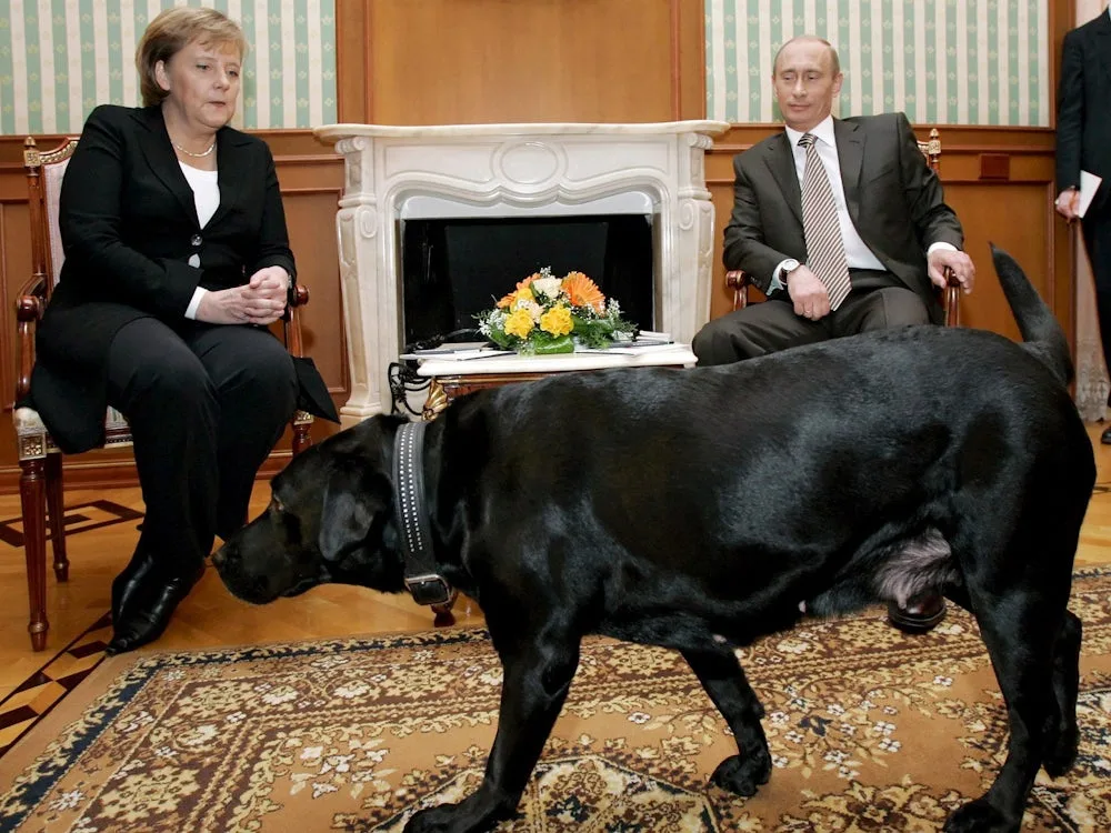 Krieg in der Ukraine: Drei Kanzler und ihr Umgang mit Putin