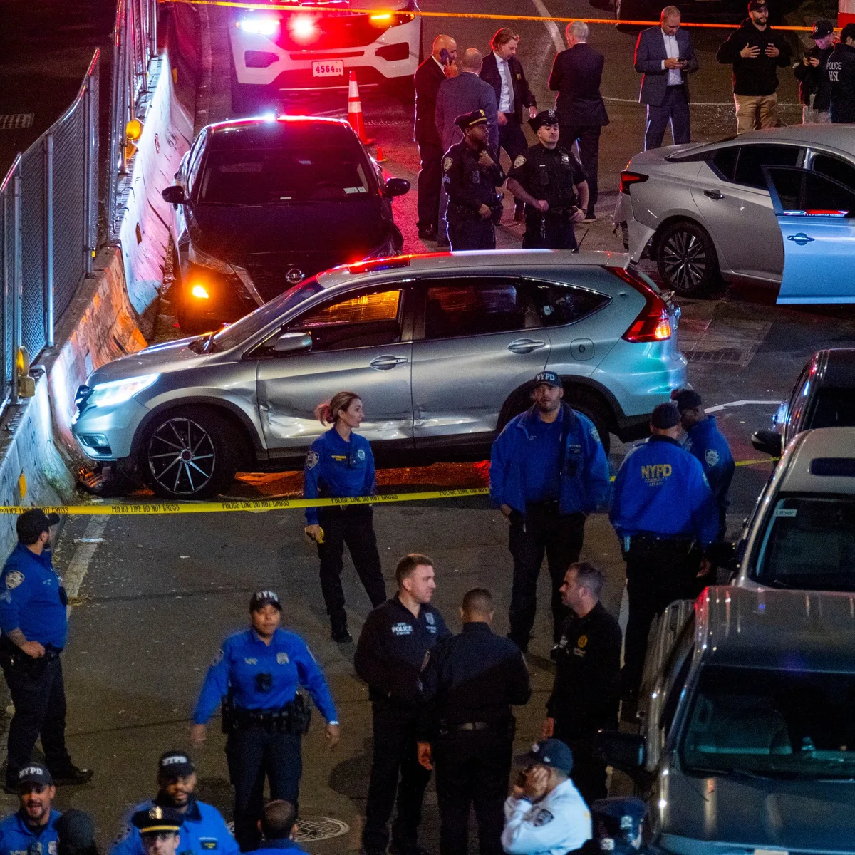 ICE Shooting in New York: What We Know