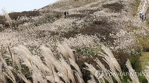 토요일 남부지방·제주 비…제주 최대 50㎜