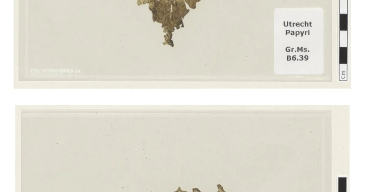 Descubren en Países Bajos un pequeño fragmento de "La Odisea" de hace 1.700 años