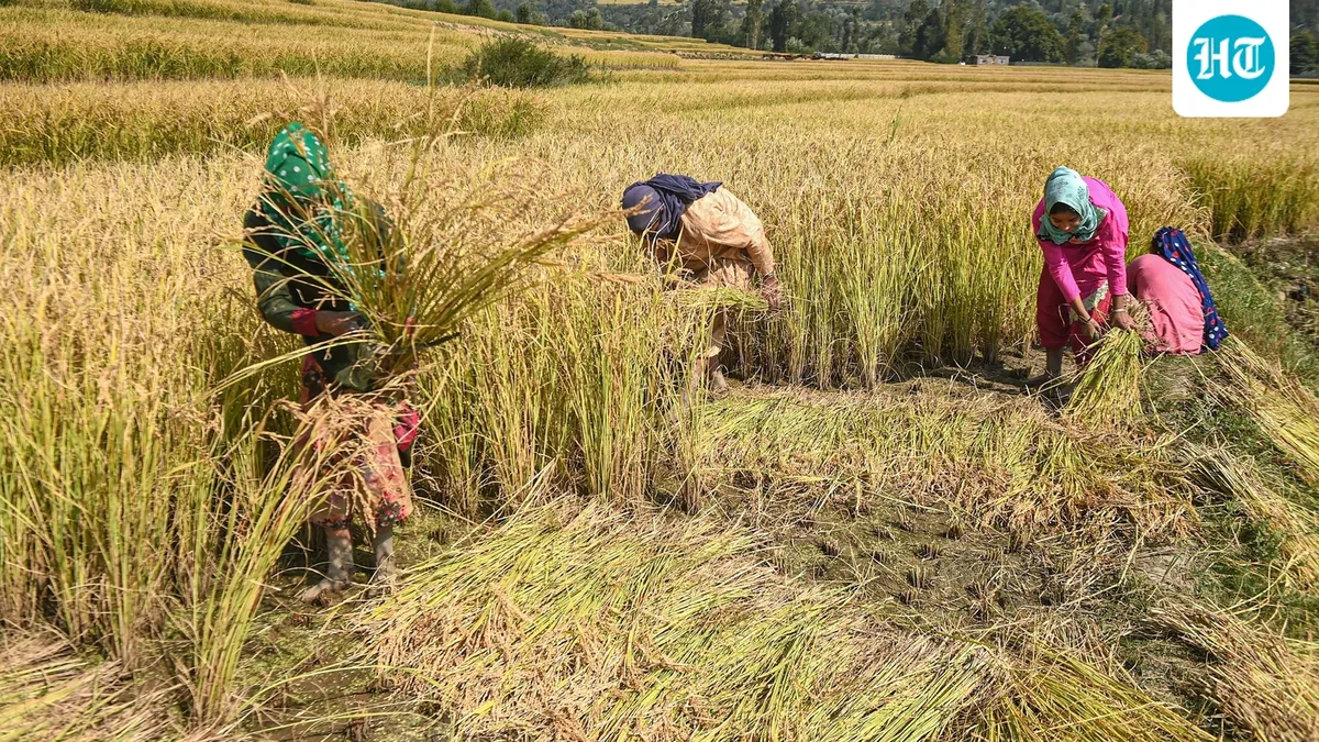 HT interview: India must look beyond farming to boost rural income, says IFAD chief Alvaro Lario