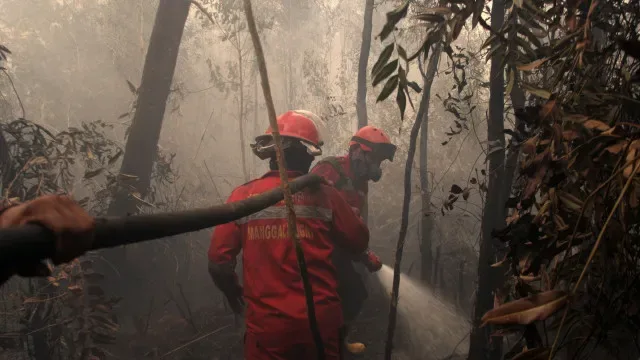 Dominado fogo em zona florestal do concelho de Odemira
