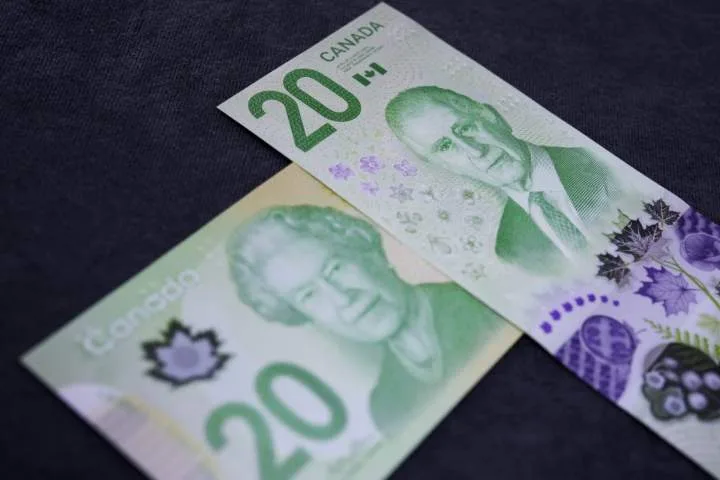 A one-time $150 Canada disability benefit supplement is going out next week