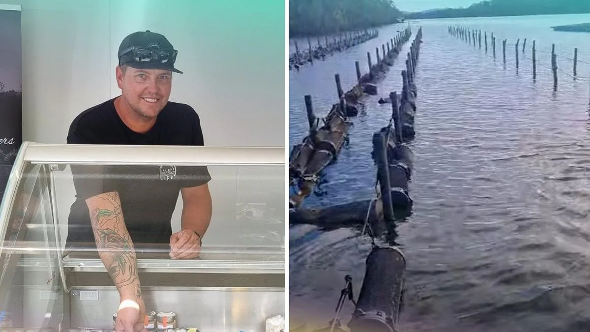Thieves steal 400,000 oysters worth $350,000 from NSW farmer