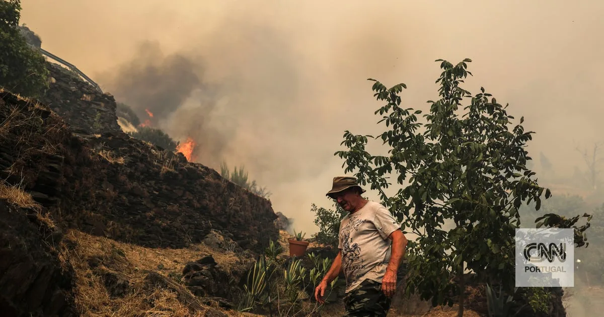 Proteção Civil diz que incêndio em Arganil já controlado