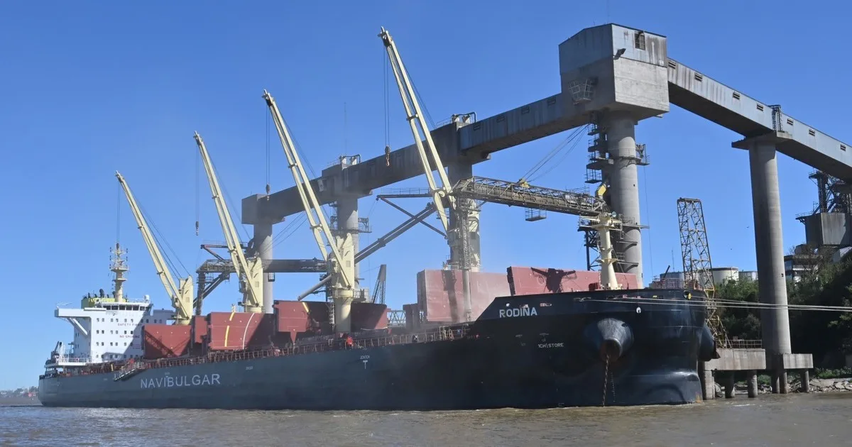 Julio fue el mejor mes en la historia para la exportación de maíz
