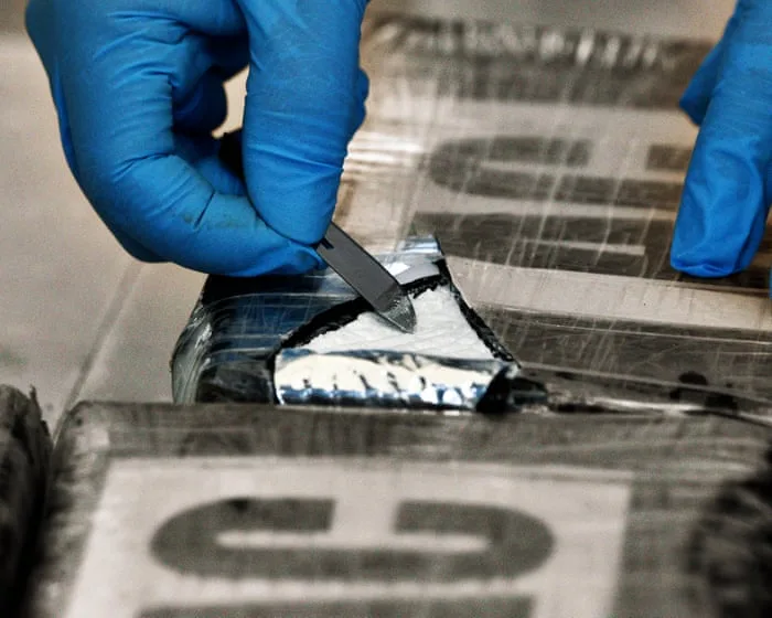 Latin American organised crime ‘may operate in 16 European countries’