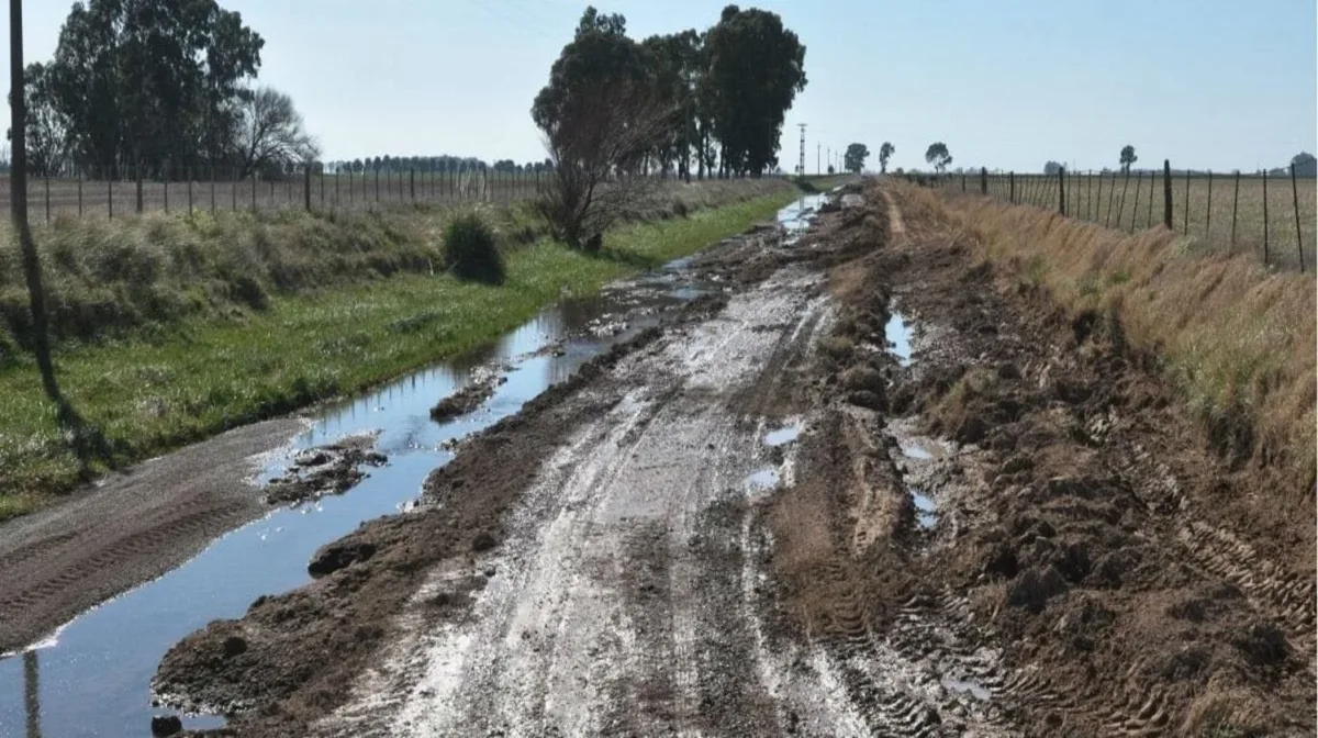 En una localidad bonaerense, productores reclaman por caminos rurales: “Para dialogar, primero queremos ver los números”