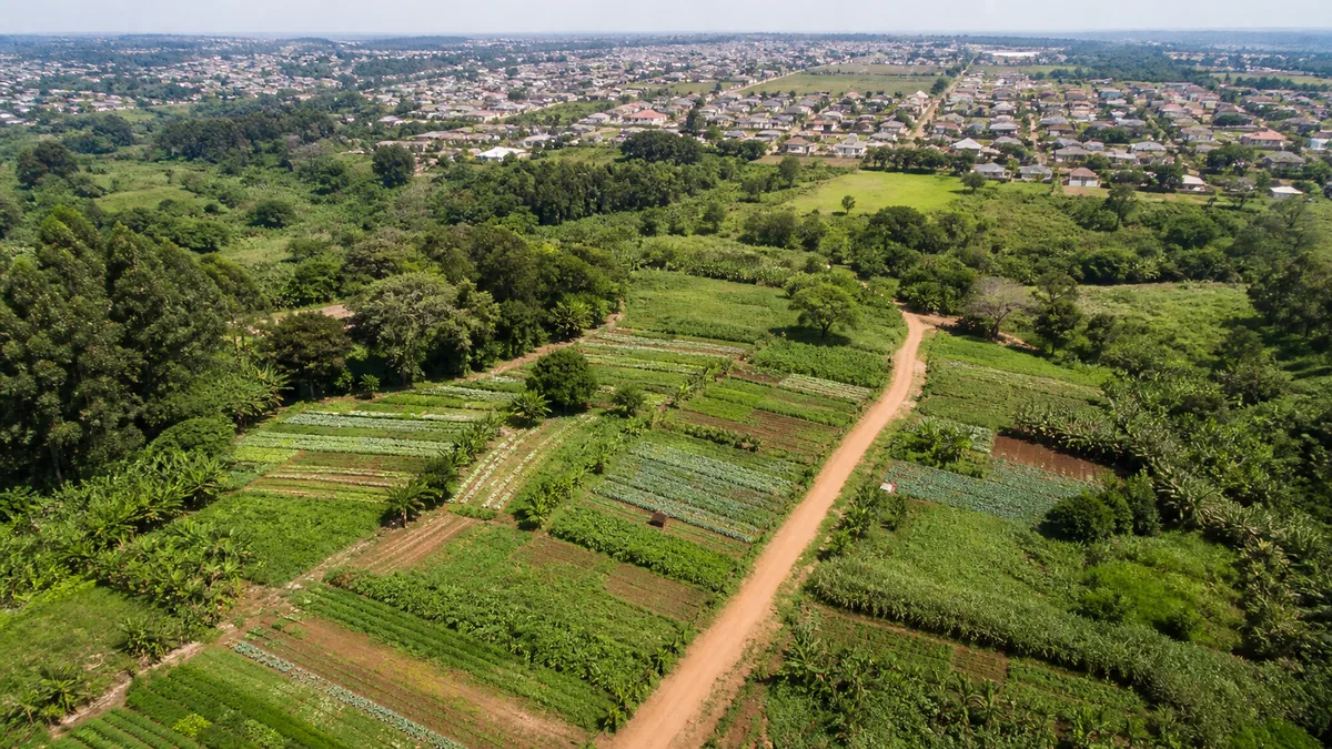 MDA cria grupo para estruturar programa de valorização de sistemas agrícolas tradicionais
