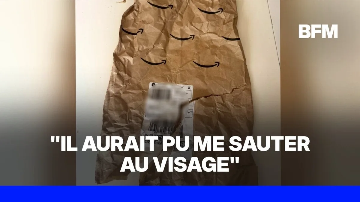 Amazon: il avait commandé un rasoir, il découvre un serpent vivant dans son colis