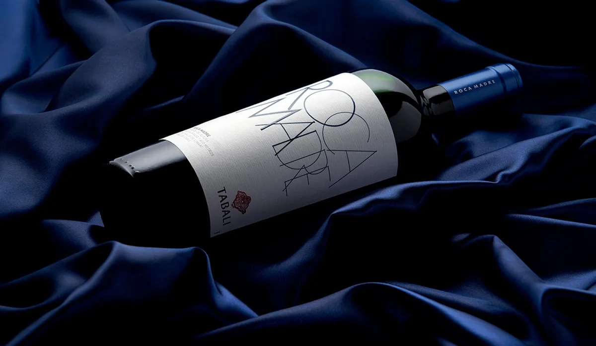 5 vinhos chilenos superpremiados que valem a pena provar
