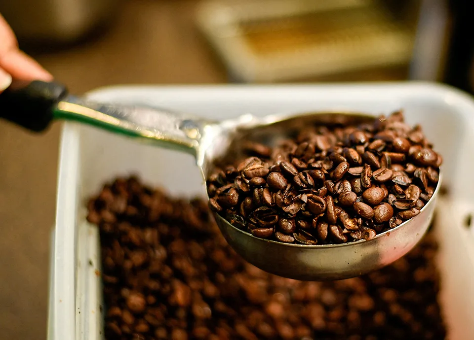 Brasil bate recorde e produção de café chega a 67,6 milhões de sacas em 2026